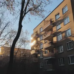 3 historie z nieprzewidywalnymi zakończeniami o dziwnych sąsiadach