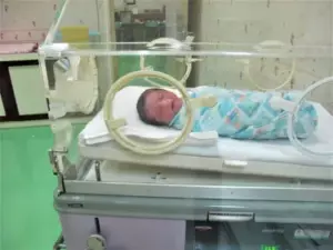 Historia dnia: Lekarz wychowuje trojaczki po tym, jak ich matka zmarła podczas porodu, a pięć lat później pojawia się ich biologiczny ojciec.
