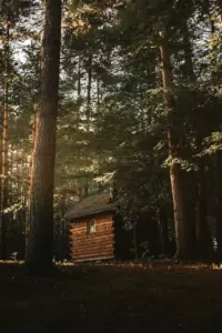 Złościło mnie, że mój dziadek zostawił mi tylko starą pasiekę, dopóki nie zauważyłem uli - Historia dnia