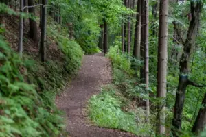 Ośrodek Mountain Ridge Resort wyglądał jak plan filmowy - żyrandole rzucały bursztynowe światło na wypolerowane podłogi