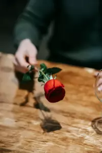 Moja synowa oskarżyła mnie o napaść i kazała mi zabrać na posterunek policji. Myśleli, że jestem tylko owdowiałą staruszką. Ale kiedy wezwali na badanie lekarskie jej obrażeń, wszedł lekarz sądowy, spojrzał na mnie i pochylił głowę.