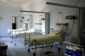 Mi egocéntrica ex me robó el perro que me ayudó a recuperarme – Así que hice que se arrepintiera con un solo movimiento