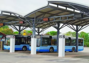 Kierowca autobusu wyrzucił 80-letnią kobietę z autobusu, ponieważ nie zapłaciła za przejazd. Udzieliła krótkiej odpowiedzi, która pozostawiła kierowcę i wszystkich w autobusie całkowicie zaniemówili...